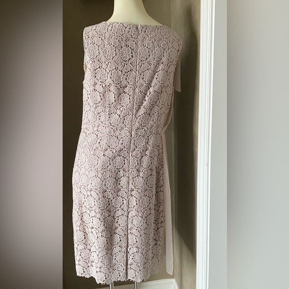 Ann Taylor Beige Knee Length Dress Lace With Partial Sheer Panel Women's Size 10 - Picture 10 of 14
